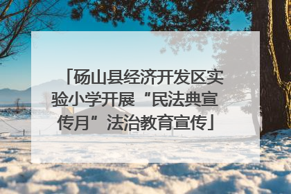 砀山县经济开发区实验小学开展“民法典宣传月”法治教育宣传