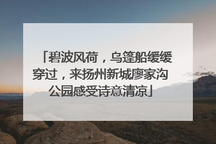 碧波风荷，乌篷船缓缓穿过，来扬州新城廖家沟公园感受诗意清凉