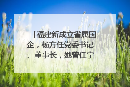 福建新成立省属国企，杨方任党委书记、董事长，她曾任宁德市委副书记｜张田怡已任县委副书记、县政府党组书记