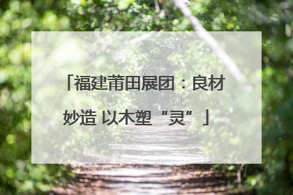 福建莆田展团：良材妙造 以木塑“灵”