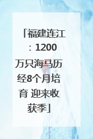 福建连江：1200万只海马历经8个月培育 迎来收获季
