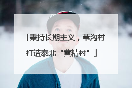 秉持长期主义，苇沟村打造泰北“黄精村”