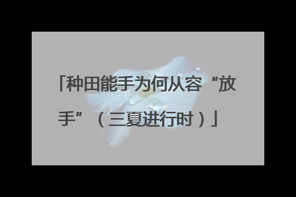 种田能手为何从容“放手”（三夏进行时）