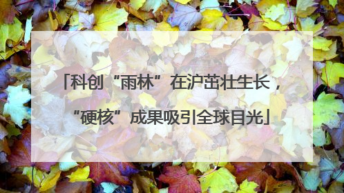 科创“雨林”在沪茁壮生长，“硬核”成果吸引全球目光