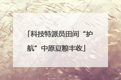 科技特派员田间“护航”中原夏粮丰收