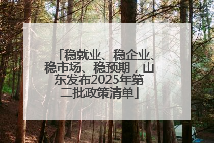 稳就业、稳企业、稳市场、稳预期，山东发布2025年第二批政策清单