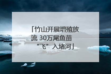竹山开展增殖放流 30万尾鱼苗“飞”入堵河