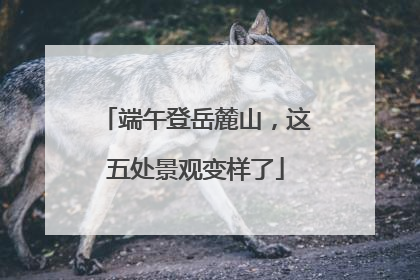 端午登岳麓山，这五处景观变样了