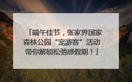 端午佳节，张家界国家森林公园“宠游客”活动带你解锁松弛感假期！