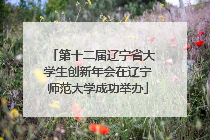 第十二届辽宁省大学生创新年会在辽宁师范大学成功举办