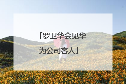罗卫华会见华为公司客人