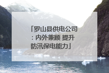 罗山县供电公司：内外兼顾 提升防汛保电能力