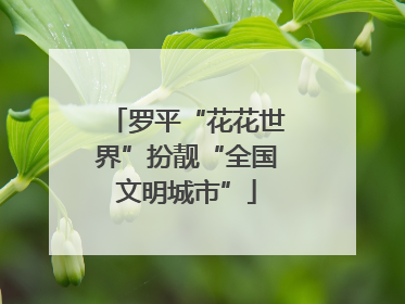 罗平“花花世界”扮靓“全国文明城市”