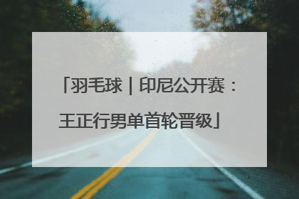 羽毛球｜印尼公开赛：王正行男单首轮晋级