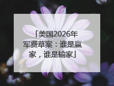 美国2026年军费草案：谁是赢家，谁是输家