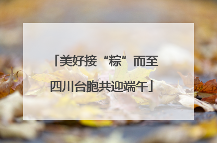 美好接“粽”而至 四川台胞共迎端午