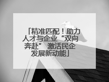 精准匹配！助力人才与企业“双向奔赴” 激活民企发展新动能