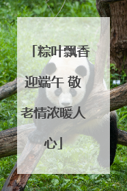 粽叶飘香迎端午 敬老情浓暖人心