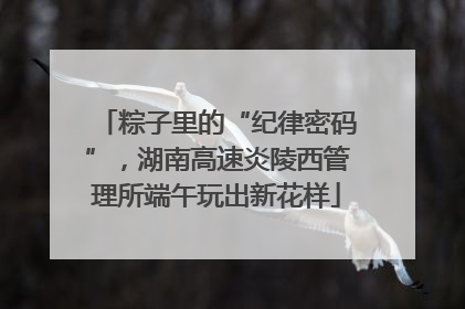 粽子里的“纪律密码”，湖南高速炎陵西管理所端午玩出新花样