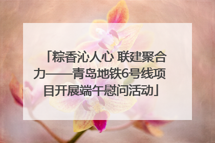 粽香沁人心 联建聚合力——青岛地铁6号线项目开展端午慰问活动
