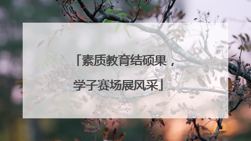 素质教育结硕果，学子赛场展风采