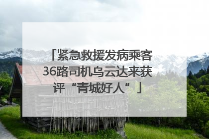 紧急救援发病乘客 36路司机乌云达来获评“青城好人”