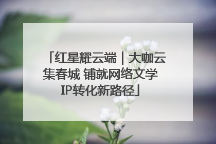红星耀云端｜大咖云集春城 铺就网络文学IP转化新路径