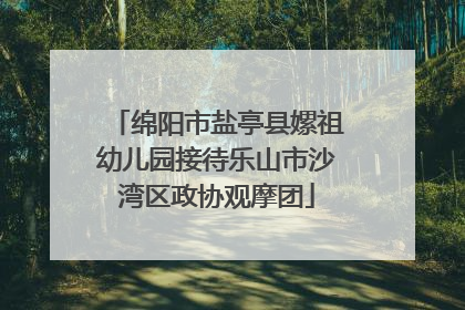 绵阳市盐亭县嫘祖幼儿园接待乐山市沙湾区政协观摩团