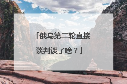 俄乌第二轮直接谈判谈了啥？