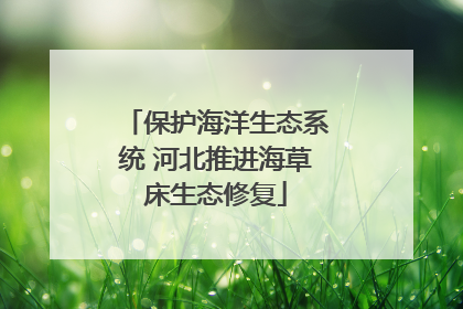 保护海洋生态系统 河北推进海草床生态修复