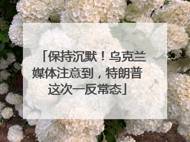 保持沉默！乌克兰媒体注意到，特朗普这次一反常态