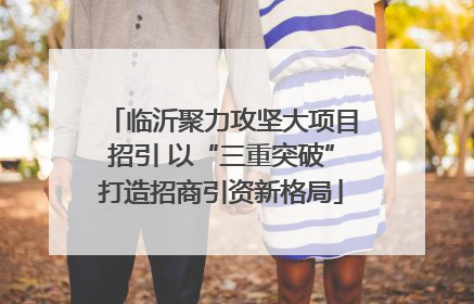临沂聚力攻坚大项目招引 以“三重突破”打造招商引资新格局