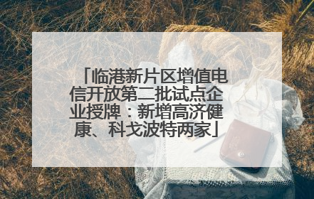 临港新片区增值电信开放第二批试点企业授牌：新增高济健康、科戈波特两家