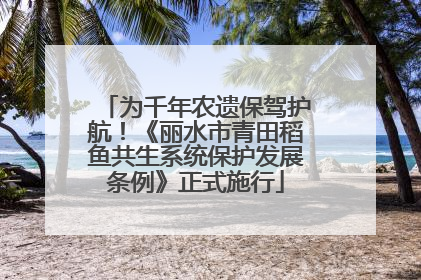 为千年农遗保驾护航!《丽水市青田稻鱼共生系统保护发展条例》正式施行