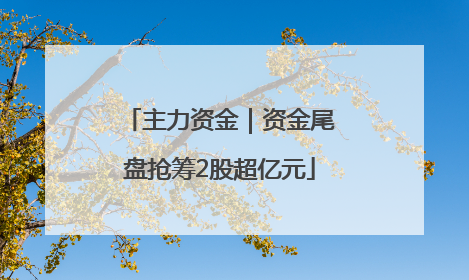 主力资金|资金尾盘抢筹2股超亿元