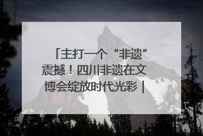 主打一个“非遗”震撼！四川非遗在文博会绽放时代光彩｜文博向“新”