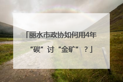 丽水市政协如何用4年“碳”讨“金矿”？
