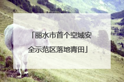 丽水市首个空域安全示范区落地青田