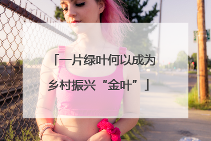 一片绿叶何以成为乡村振兴“金叶”