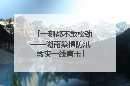 一刻都不敢松劲——湖南桑植防汛救灾一线直击