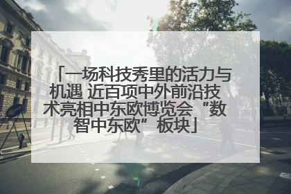 一场科技秀里的活力与机遇 近百项中外前沿技术亮相中东欧博览会“数智中东欧”板块