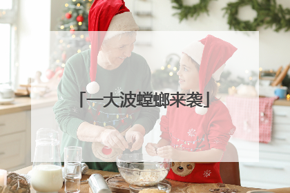 一大波螳螂来袭