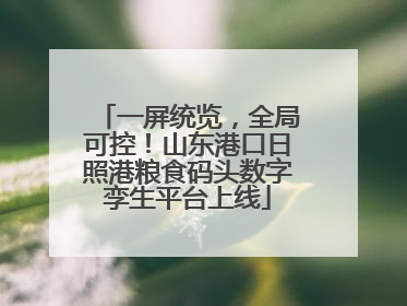 一屏统览，全局可控！山东港口日照港粮食码头数字孪生平台上线