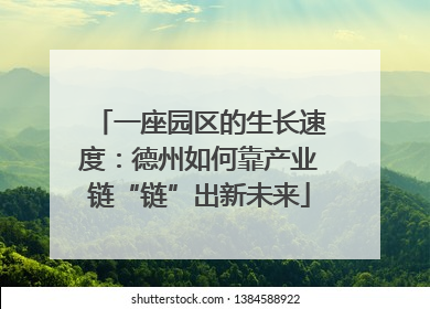 一座园区的生长速度：德州如何靠产业链“链”出新未来