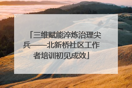 三维赋能淬炼治理尖兵——北新桥社区工作者培训初见成效