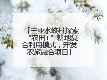 三亚水蛟村探索“农田+”耕地复合利用模式，开发农旅融合项目