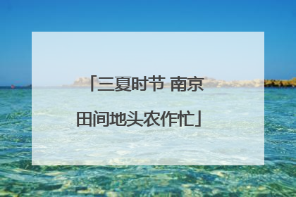 三夏时节 南京田间地头农作忙