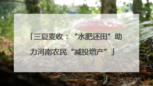 三夏麦收：“水肥还田”助力河南农民“减投增产”