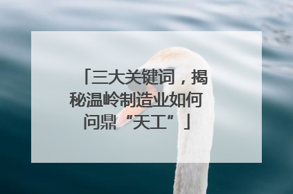 三大关键词，揭秘温岭制造业如何问鼎“天工”