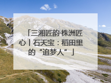 三湘匠韵·株洲匠心丨石天宝：稻田里的“追梦人”